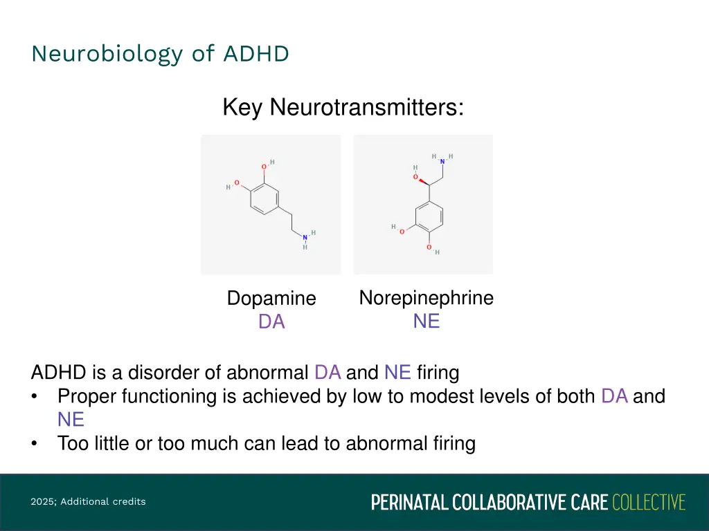 neurobiology of adhd