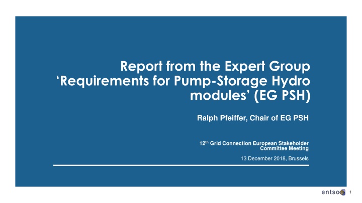 report from the expert group requirements