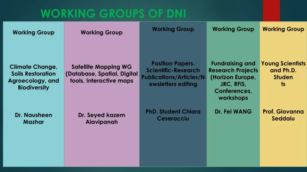 working groups of dni