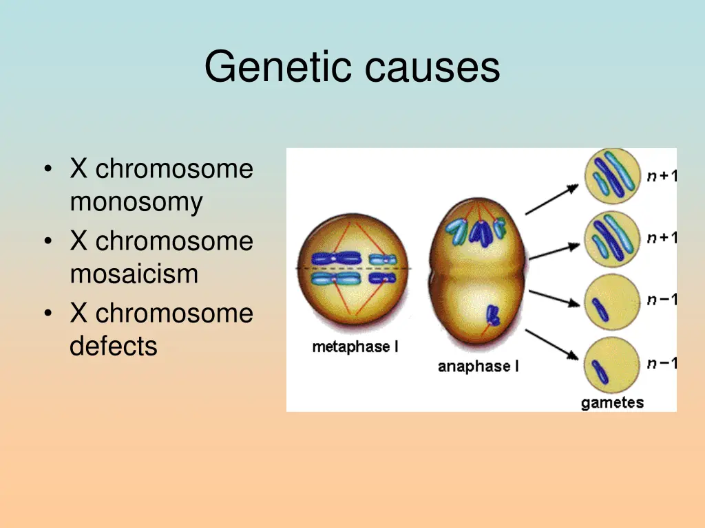 genetic causes