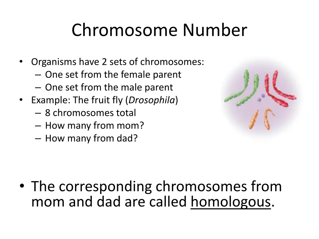 chromosome number