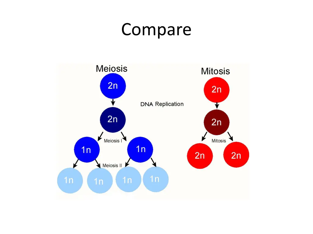 compare