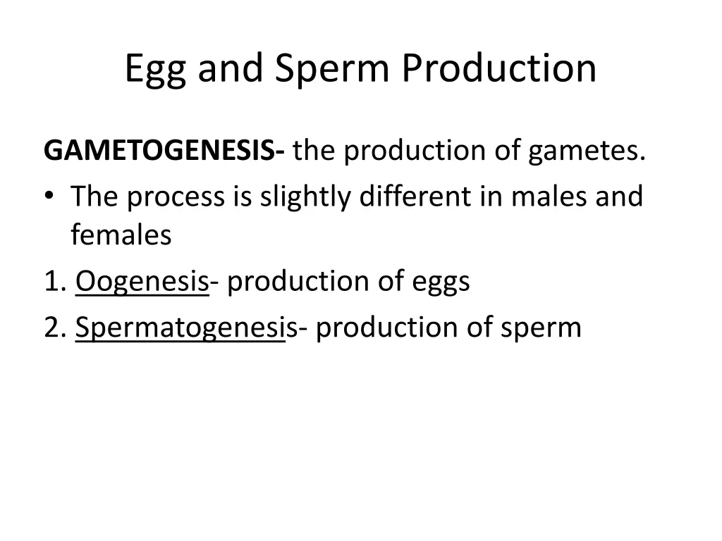 egg and sperm production