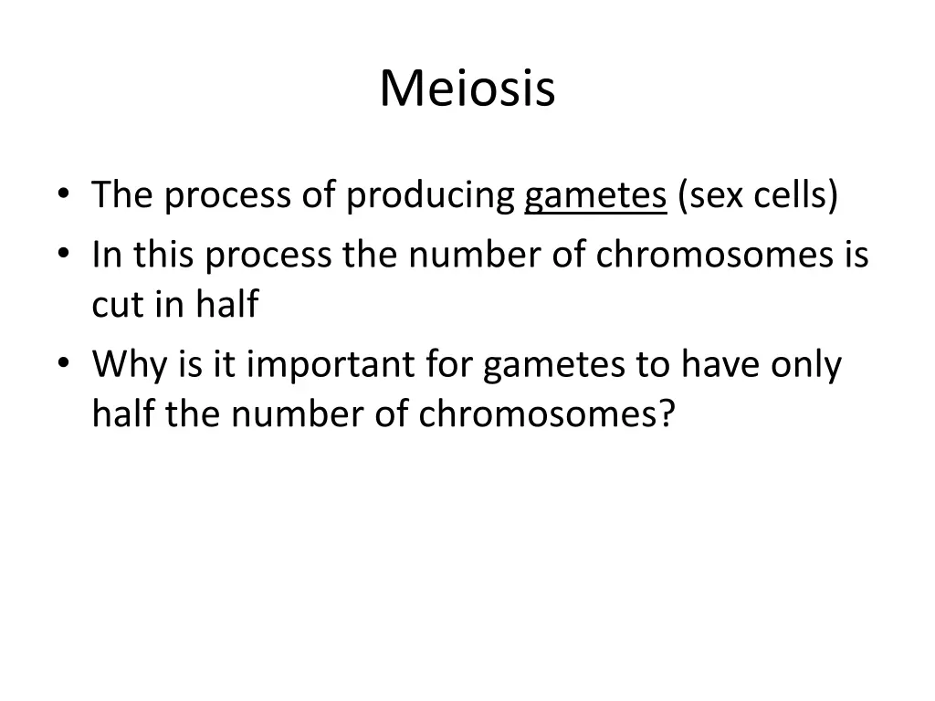 meiosis