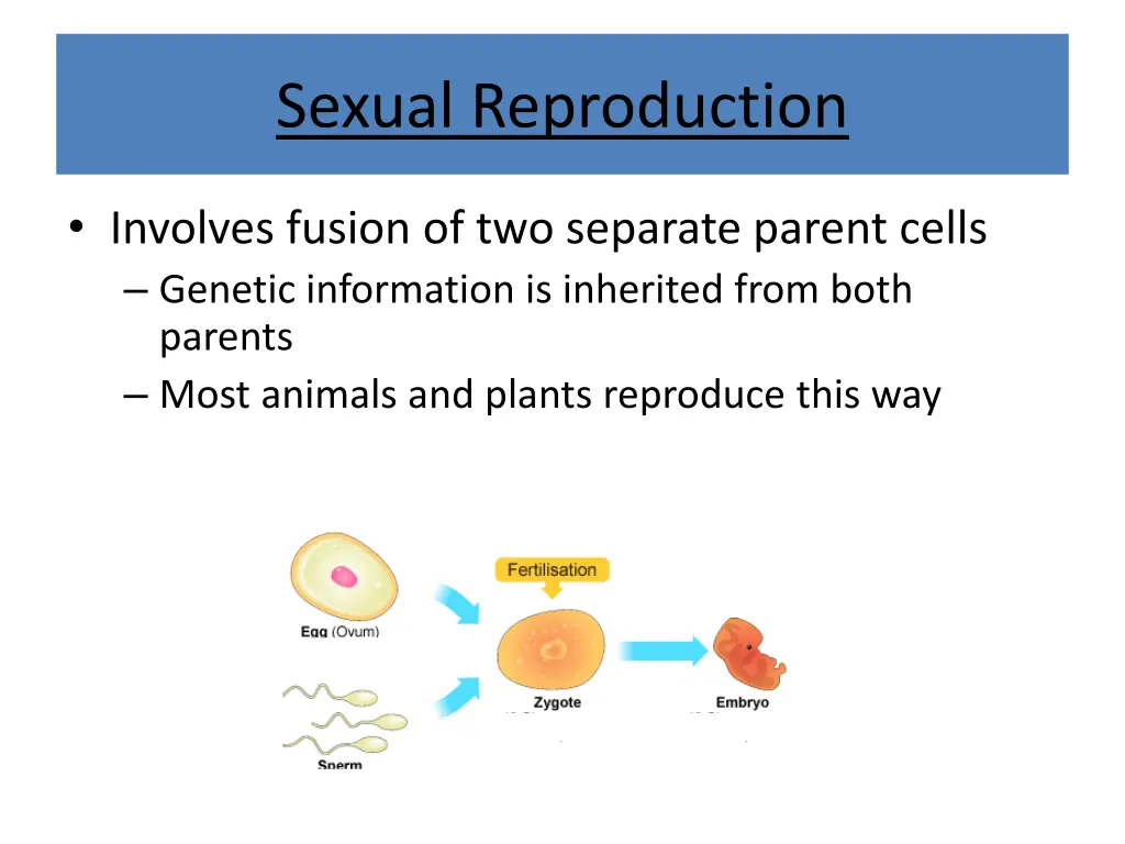 sexual reproduction