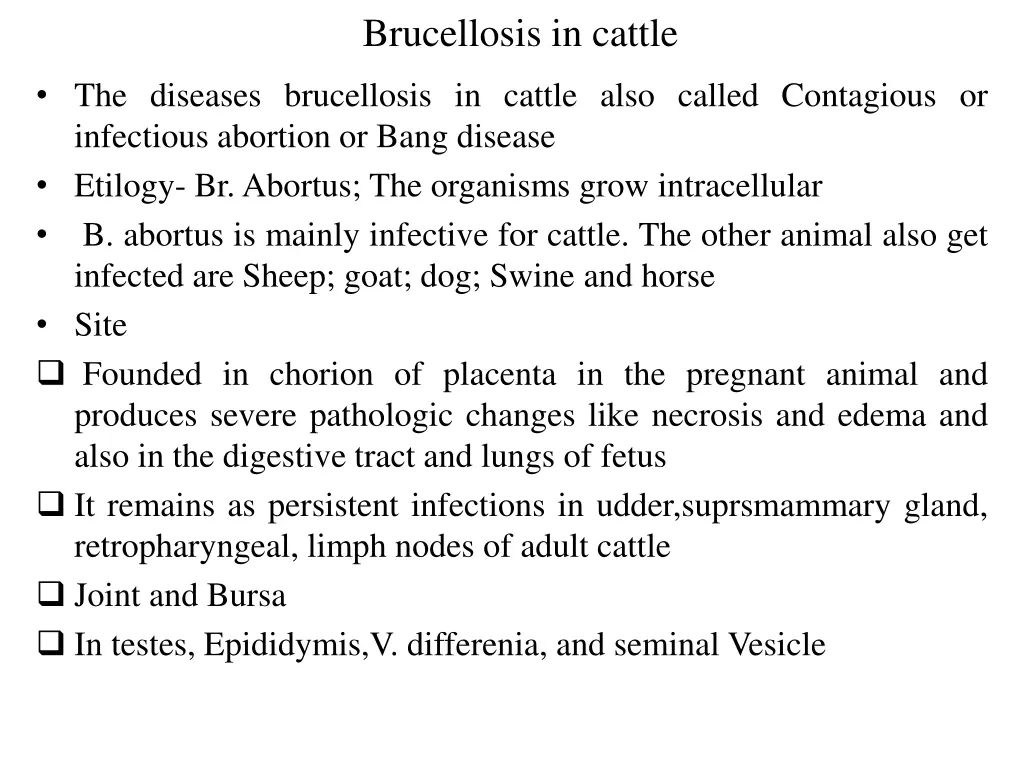 brucellosis in cattle