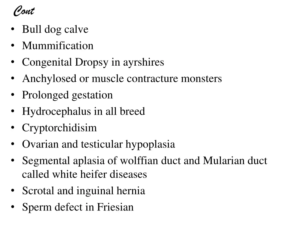 cont bull dog calve mummification congenital