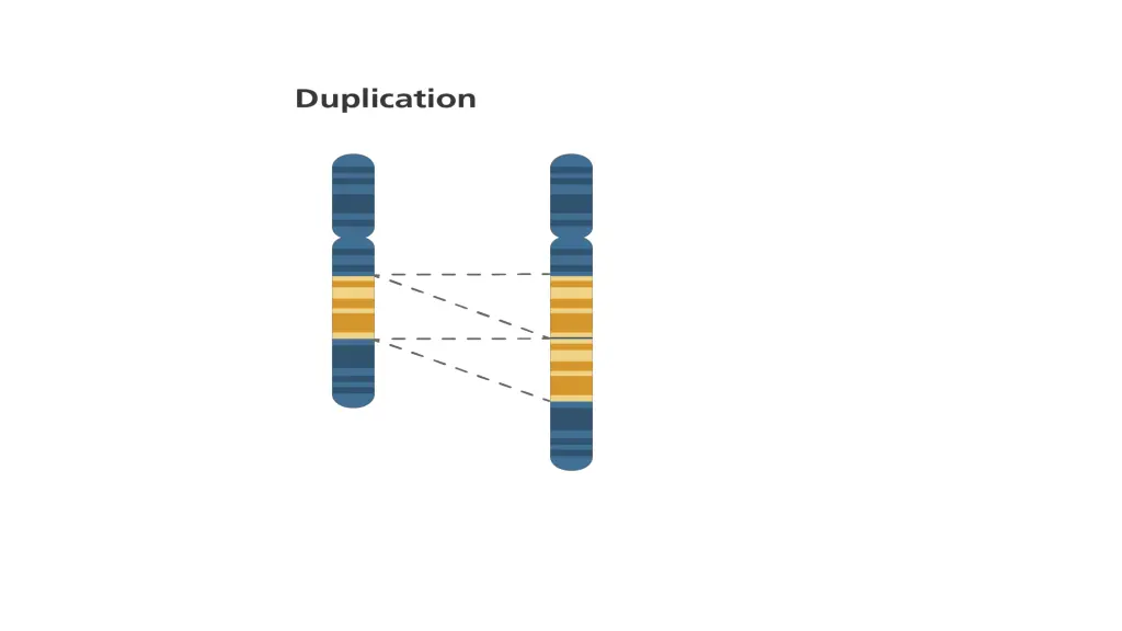 slide3