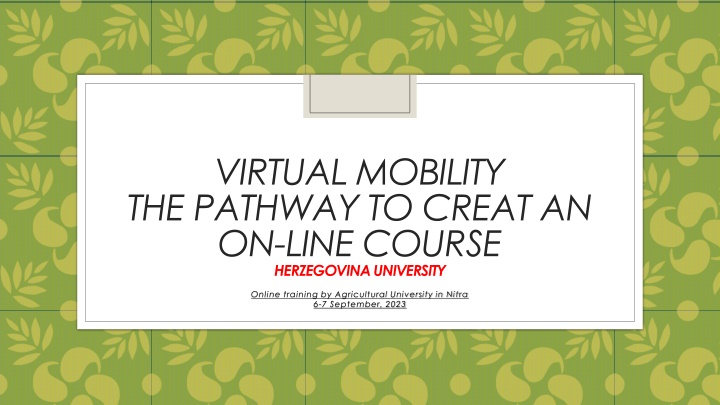 virtual mobility the pathway to creat an on line