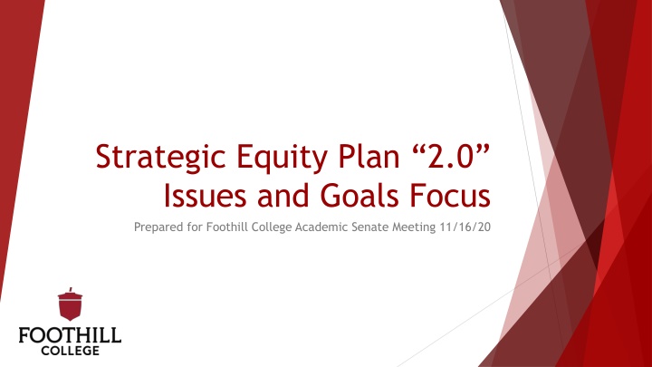 strategic equity plan 2 0 issues and goals focus