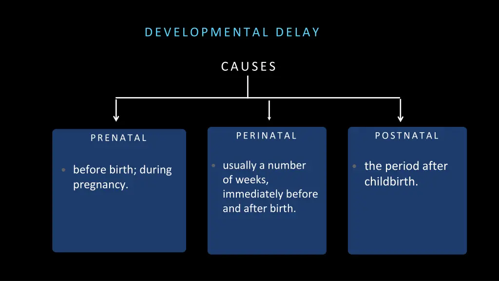 developmental delay 1