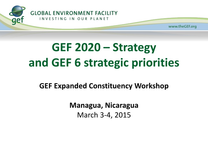 gef 2020 strategy and gef 6 strategic priorities