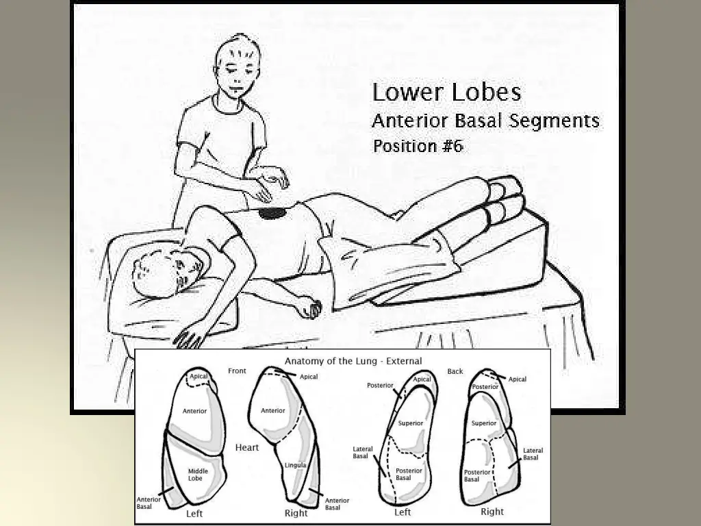 slide19