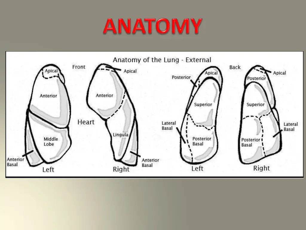 slide6