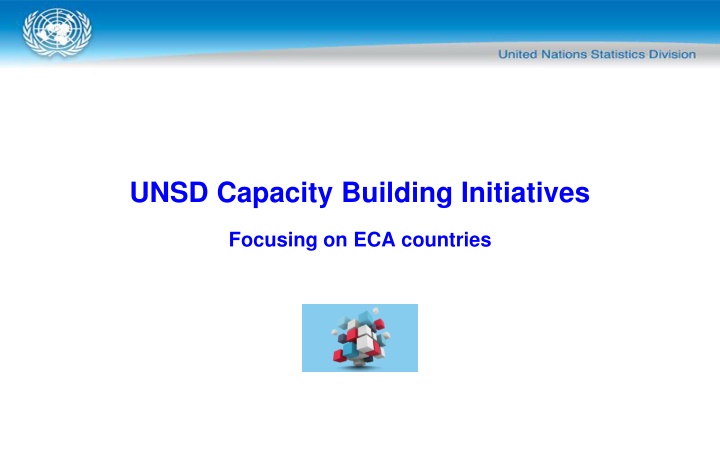 unsd capacity building initiatives
