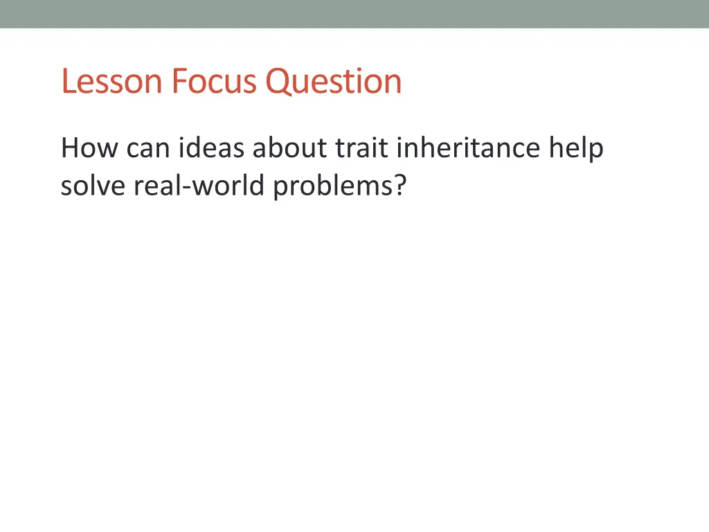 lesson focus question
