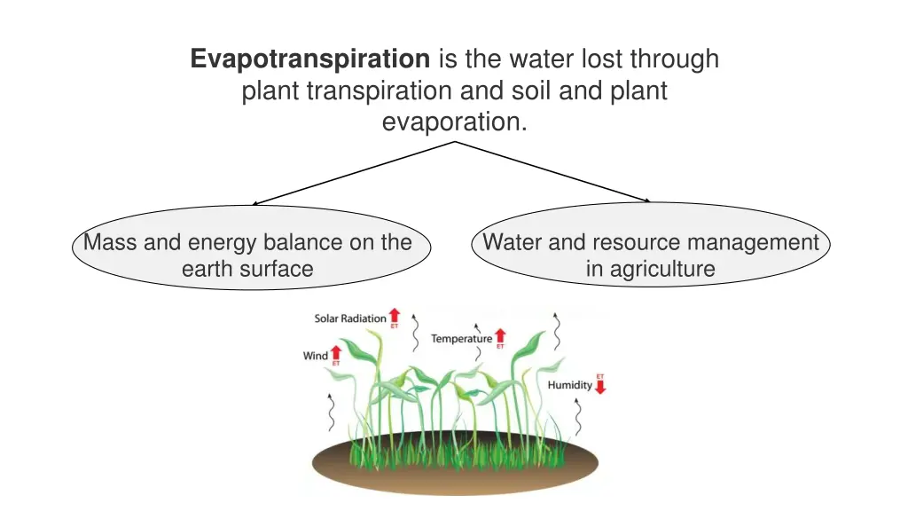 evapotranspiration is the water lost through