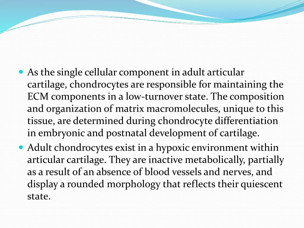 as the single cellular component in adult