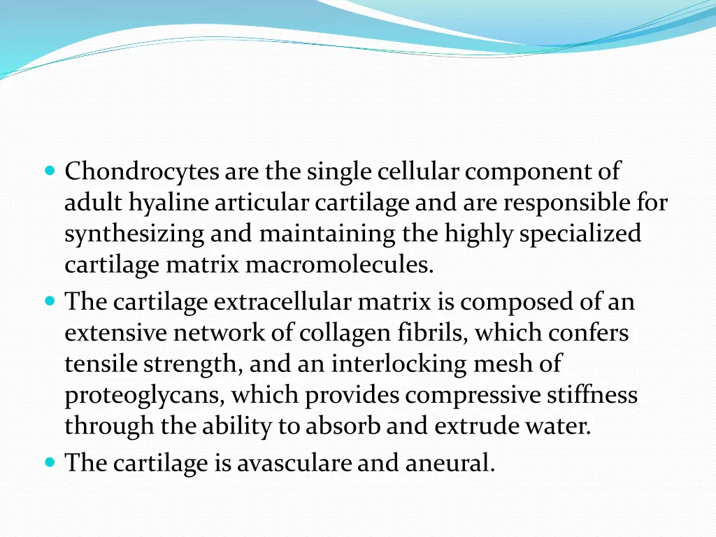 chondrocytes are the single cellular component