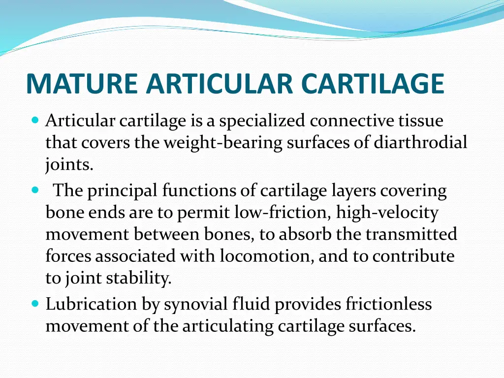 mature articular cartilage