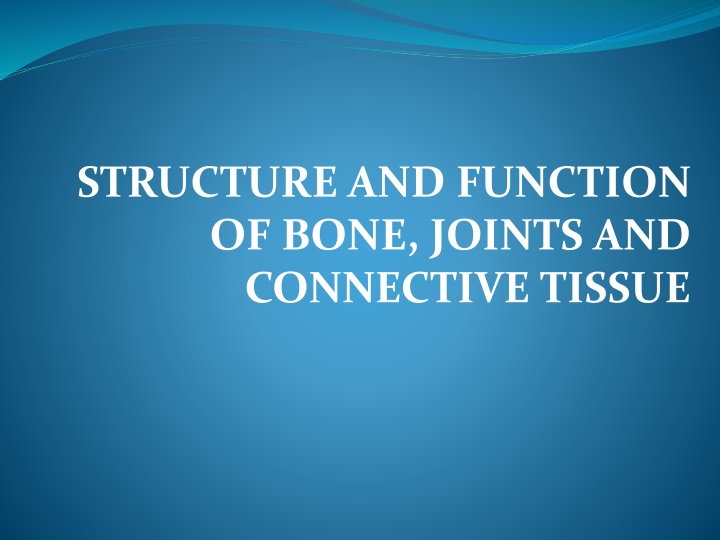 structure and function of bone joints