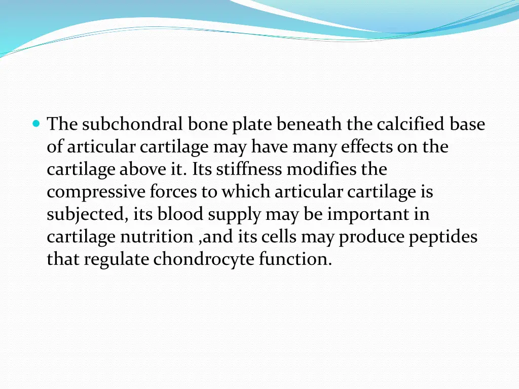 the subchondral bone plate beneath the calcified