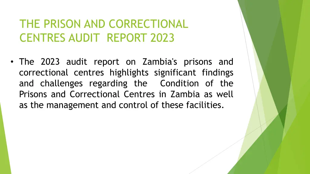 the prison and correctional centres audit report