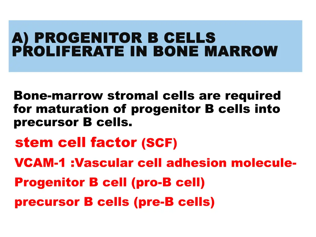 a progenitor b cells a progenitor b cells