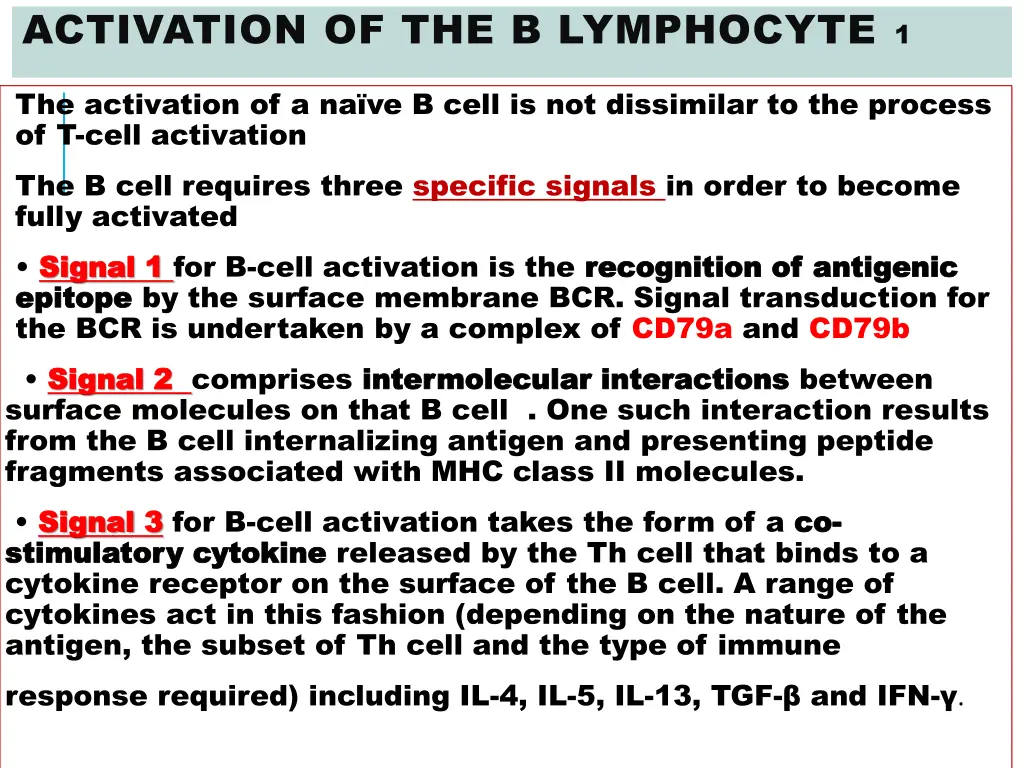activation of the b lymphocyte 1