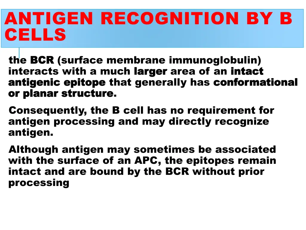 antigen recognition by b cells