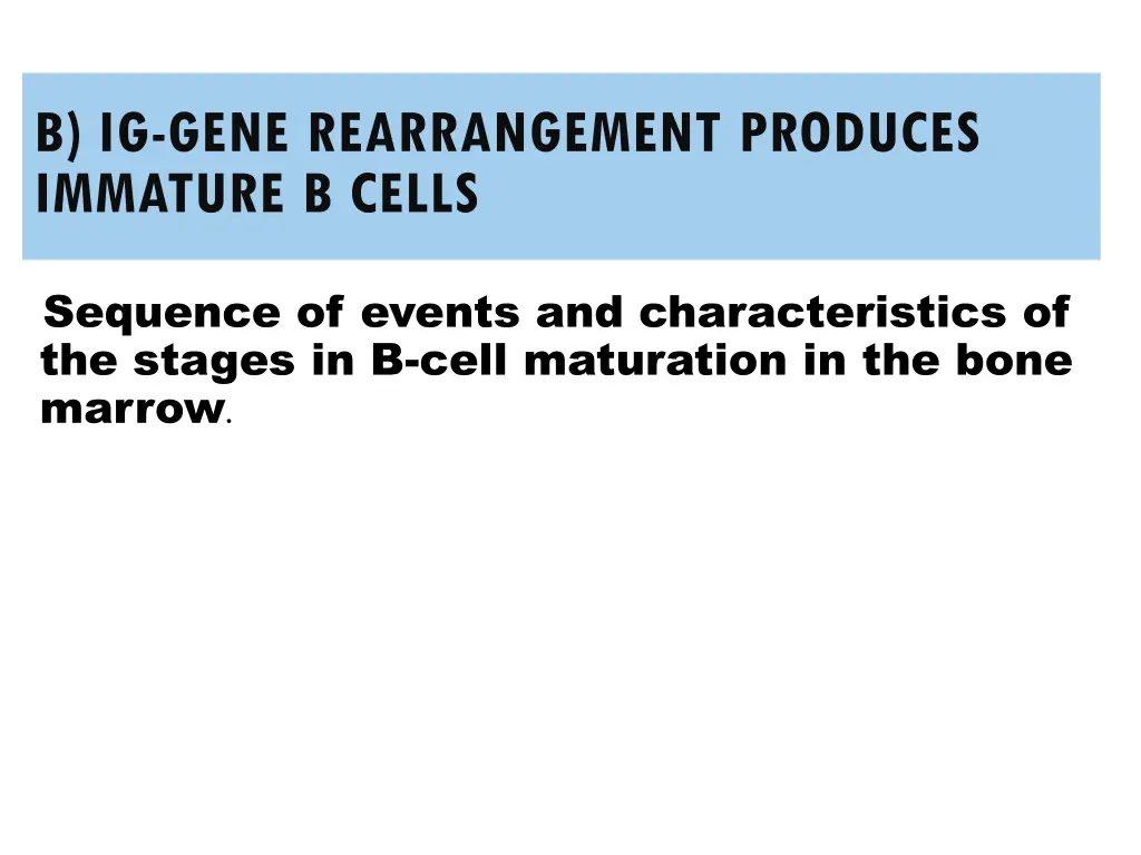 b ig gene rearrangement produces immature b cells
