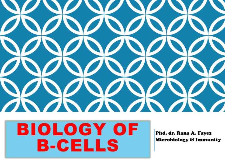 biology of b cells