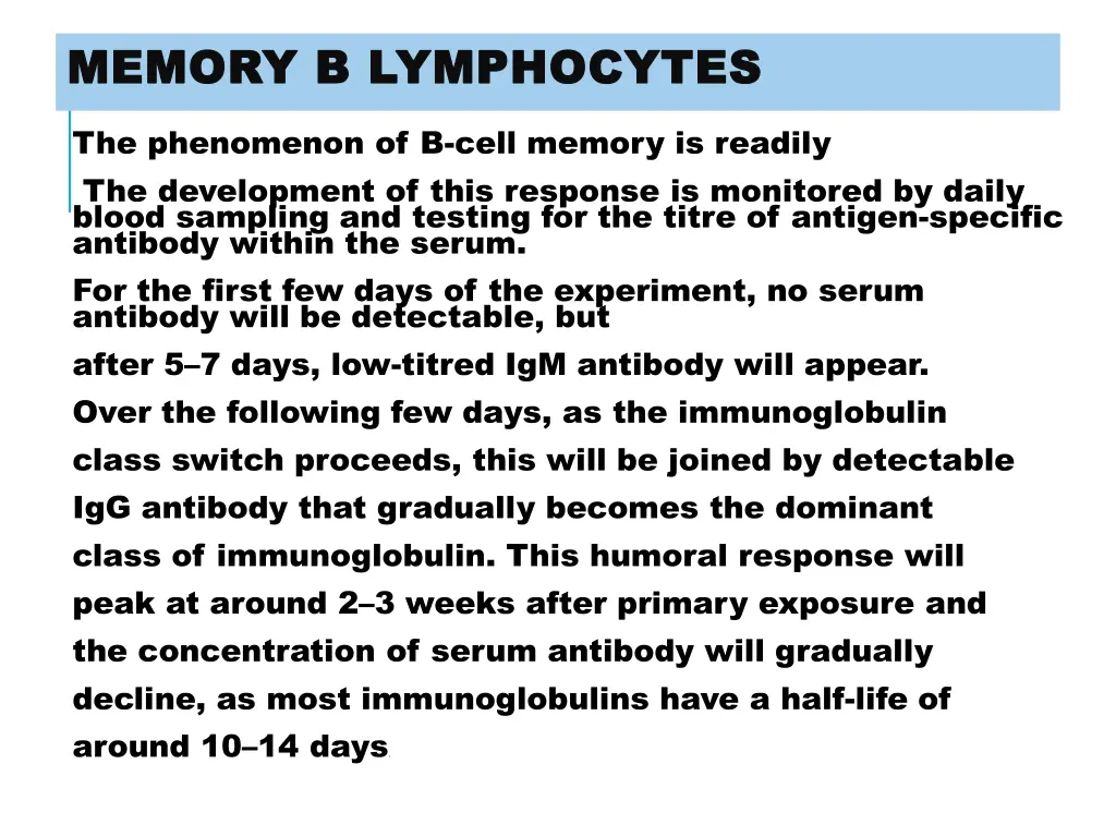 memory b lymphocytes memory b lymphocytes