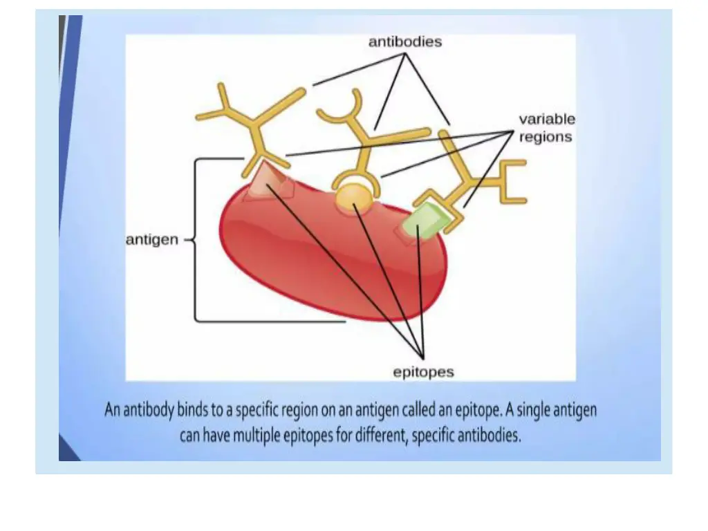 slide24