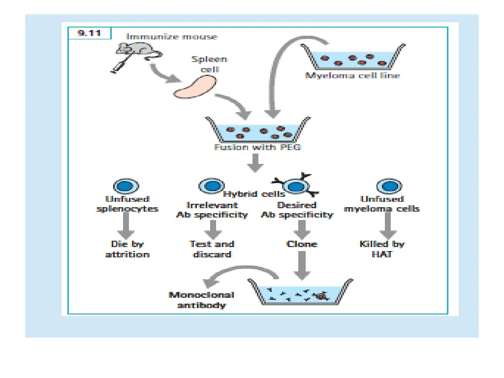 slide28