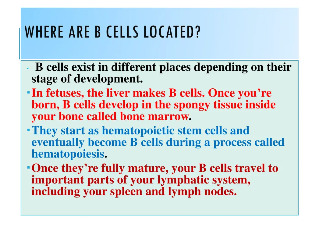 where are b cells located