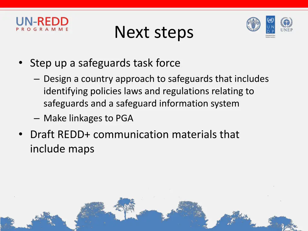 next steps
