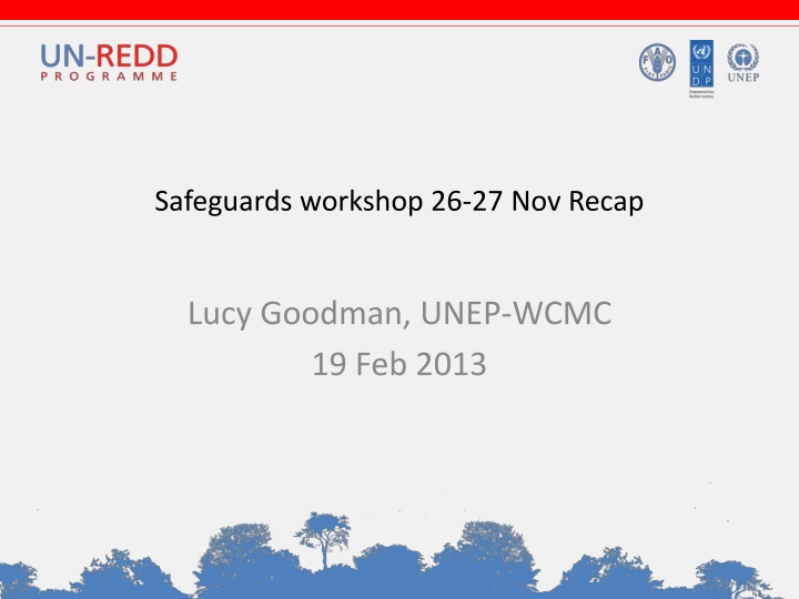 safeguards workshop 26 27 nov recap