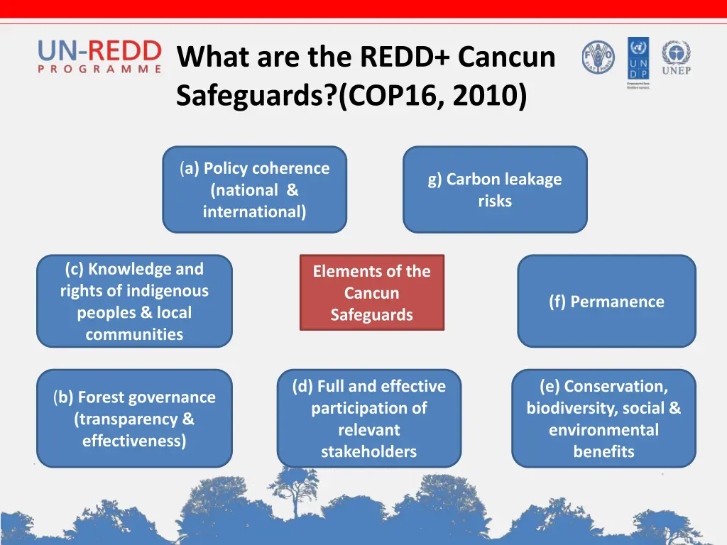 what are the redd cancun safeguards cop16 2010