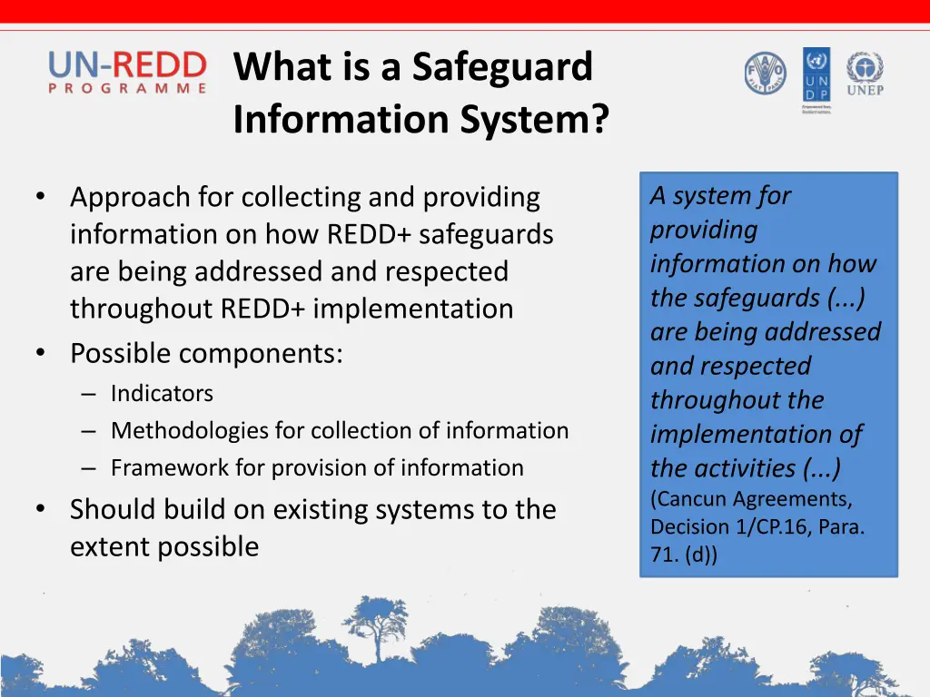 what is a safeguard information system