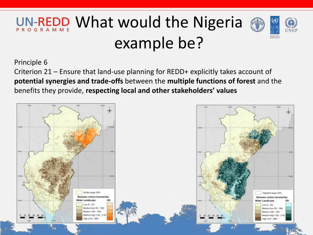 what would the nigeria example be