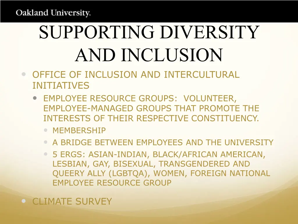 supporting diversity and inclusion office