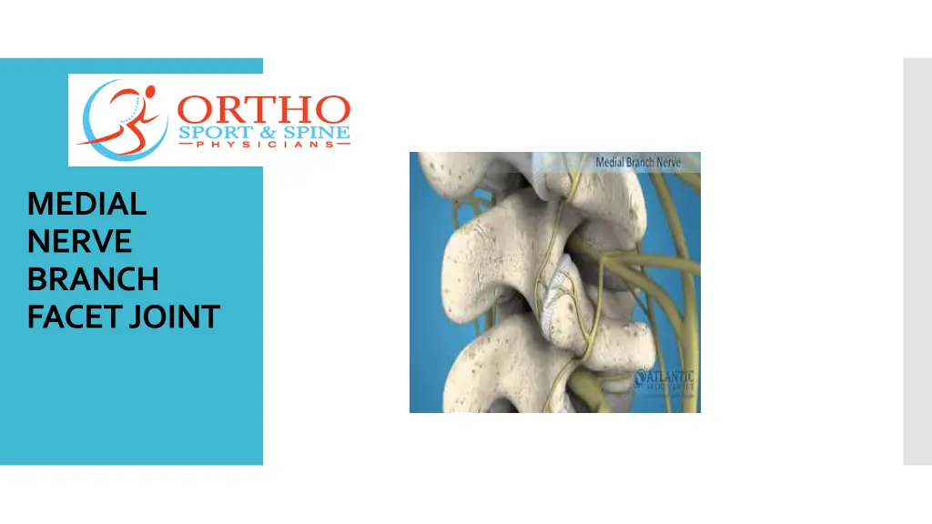 medial nerve branch facet joint
