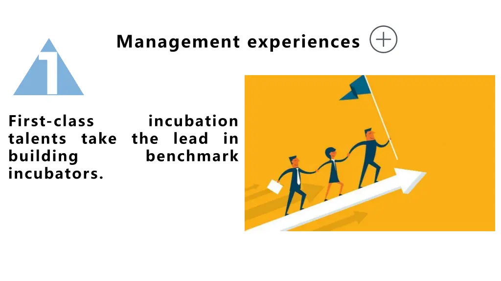 management experiences