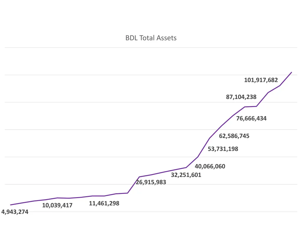 bdl total assets