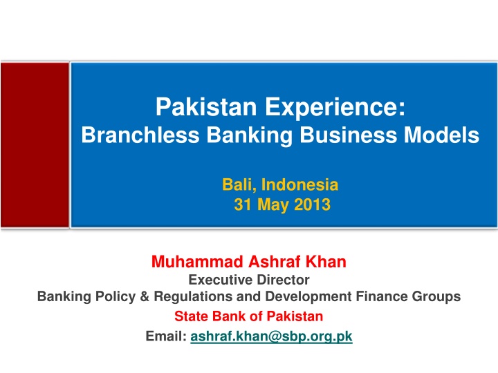 pakistan experience branchless banking business