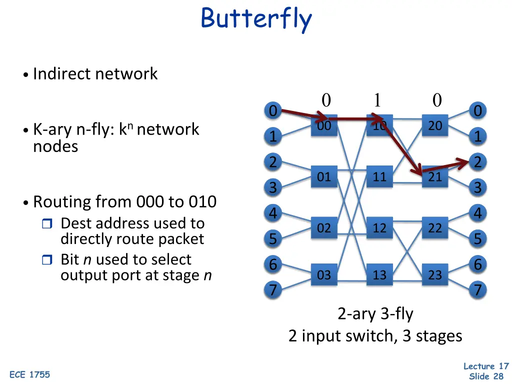 butterfly