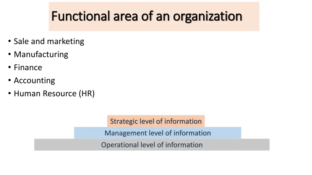 functional area of an organization functional