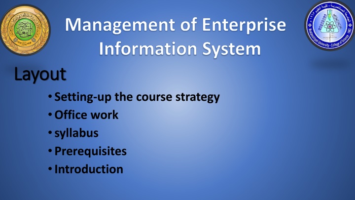 management of enterprise information system