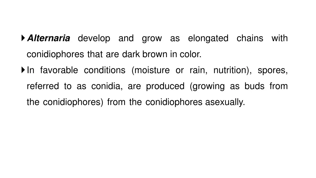 alternaria develop and grow as elongated chains